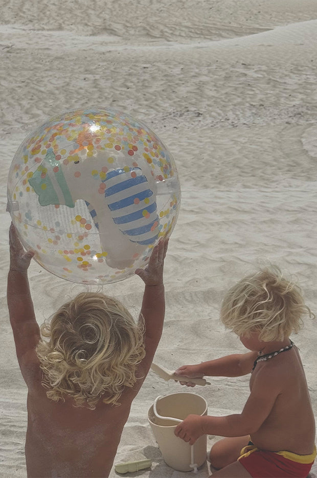Sammy The Seagull 3D Inflatable Beach Ball