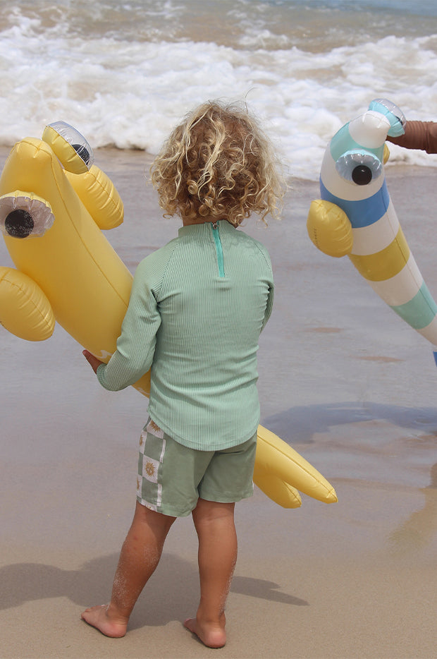Finn The Fish Inflatable Noodle Set